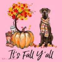 It's Fall Y'all Great Dane Dog Lovers Thanksgiving Halloween Coaster thumb 2