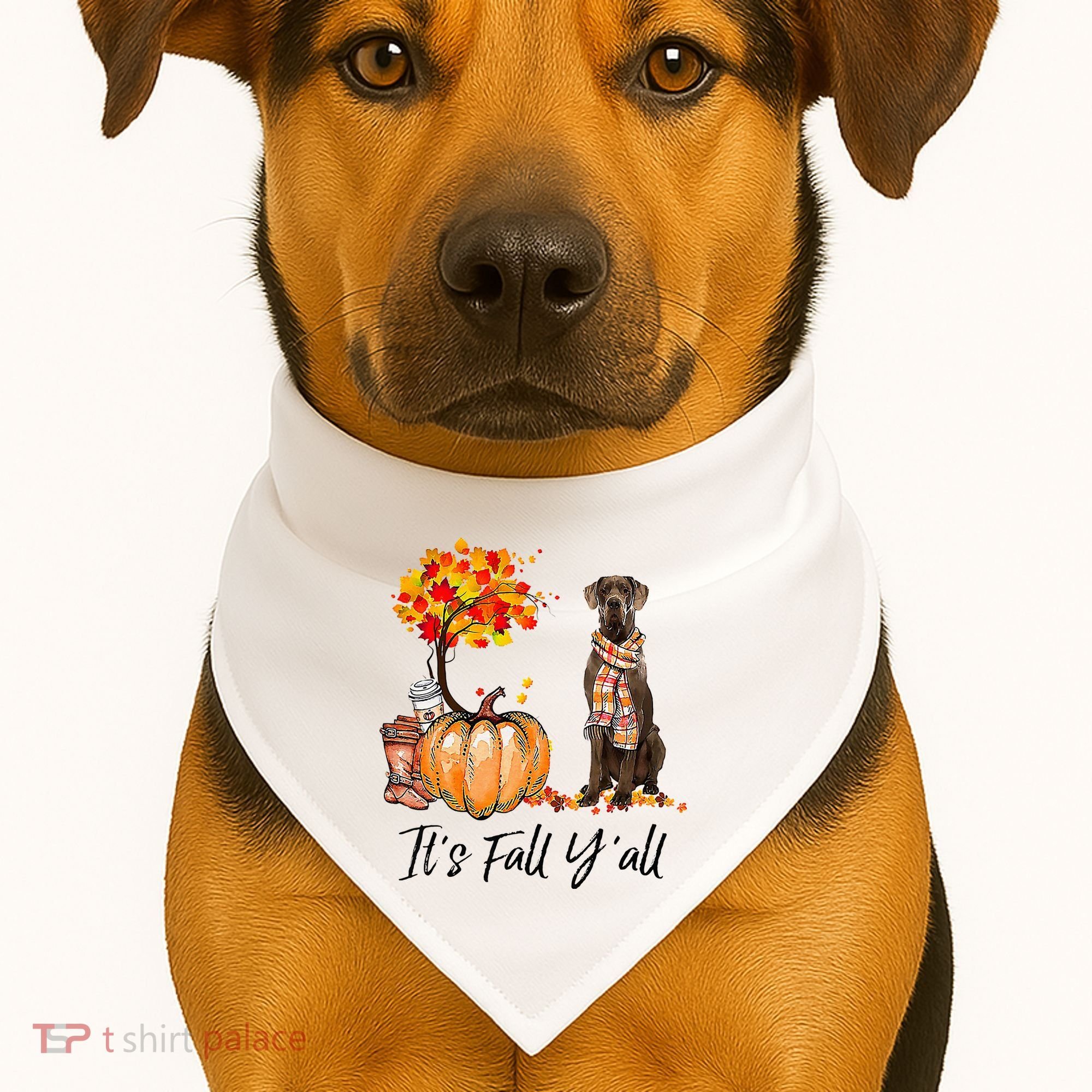 It's Fall Y'all Great Dane Dog Lovers Thanksgiving Halloween USA-Made Doggie Bandana