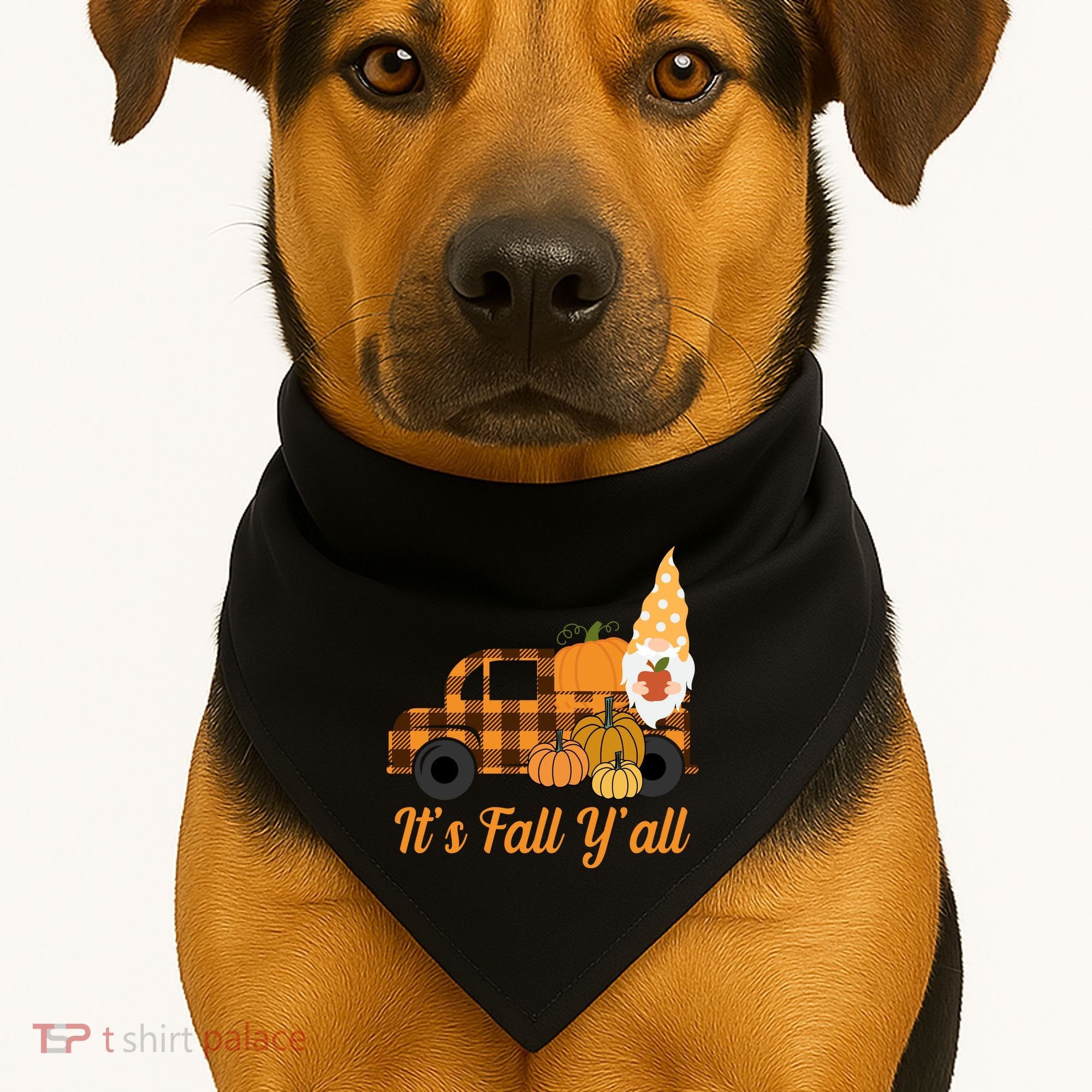 It's Fall Y'all Pumpkin Gnome USA-Made Doggie Bandana