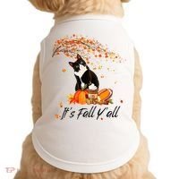 It's Fall Y'all Cute Black Cat Lovers Thanksgiving Halloween Doggie Tank thumb 0