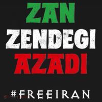 Iranian Flag ZAN ZENDEGI AZADI Support Iranian Women Protest Women's Hoodie thumb 2