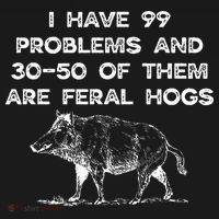 I Got 99 Problems And 30 50 Of Them Are Feral Hogs Women's T-Shirt thumb 6