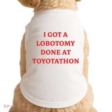 I Got A Lobotomy Done At Toyotathon Doggie Tank