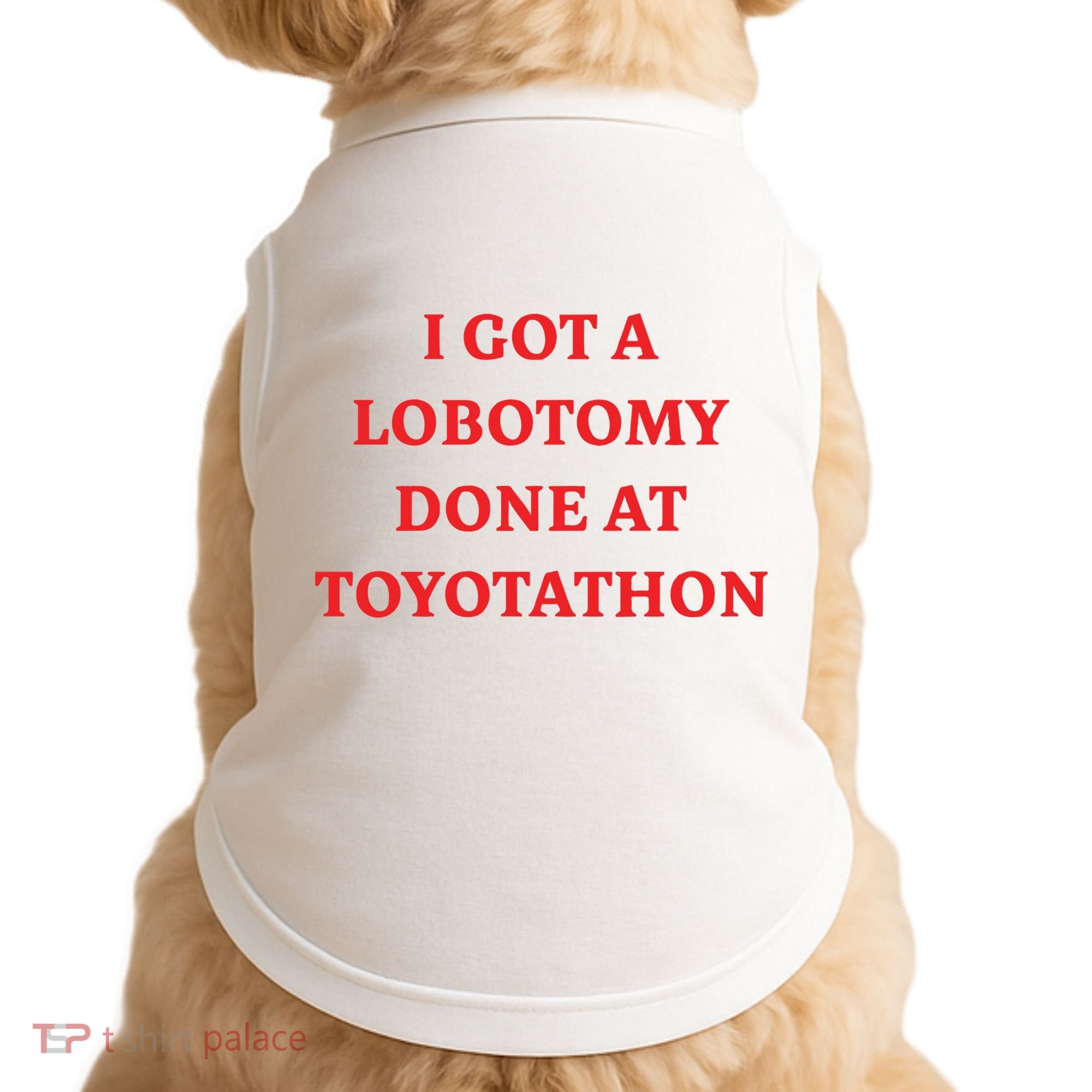 I Got A Lobotomy Done At Toyotathon Doggie Tank