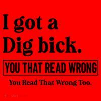 I Got A Dig Bick Funny Sarcastic Jokes Santa Hat thumb 1