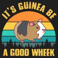ItS Guinea Be A Good Wheek Guinea Pig Piggy Gift Beanie thumb 2
