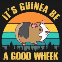 ItS Guinea Be A Good Wheek Guinea Pig Piggy Gift Women's Hoodie thumb 2