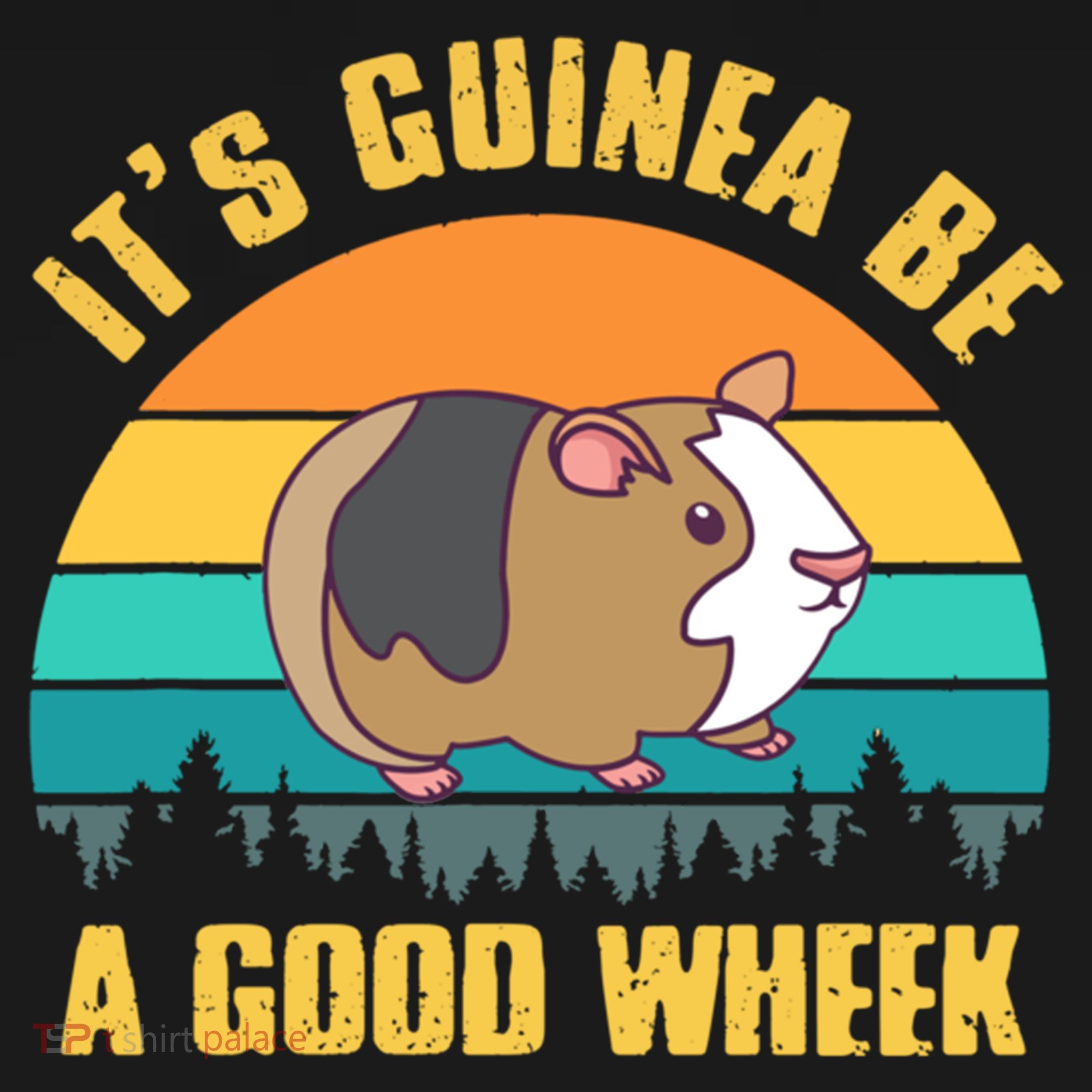 ItS Guinea Be A Good Wheek Guinea Pig Piggy Gift Women's Hoodie