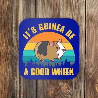 ItS Guinea Be A Good Wheek Guinea Pig Piggy Gift Coaster