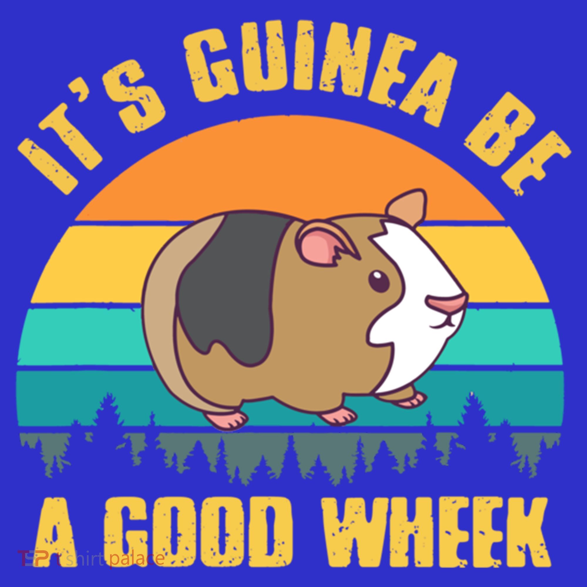 ItS Guinea Be A Good Wheek Guinea Pig Piggy Gift Women's Tank Top