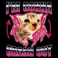 IM Gonna Crash Out Funny Cat Meme Lover Humorous Sarcastic Coffee Mug thumb 5