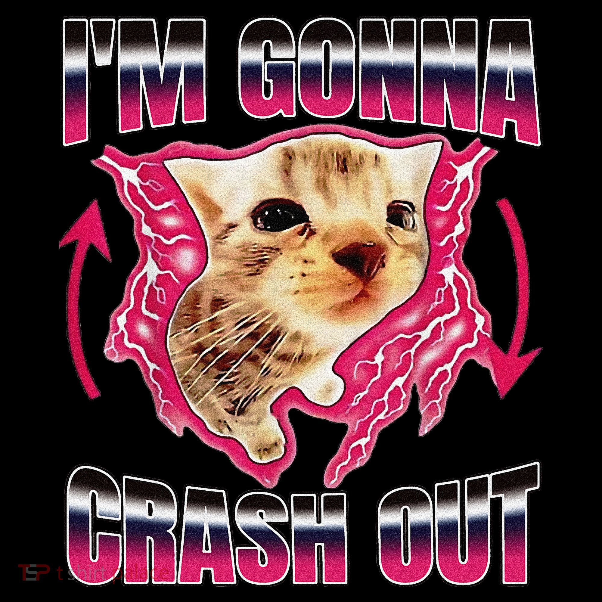 IM Gonna Crash Out Funny Cat Meme Lover Humorous Sarcastic Coffee Mug