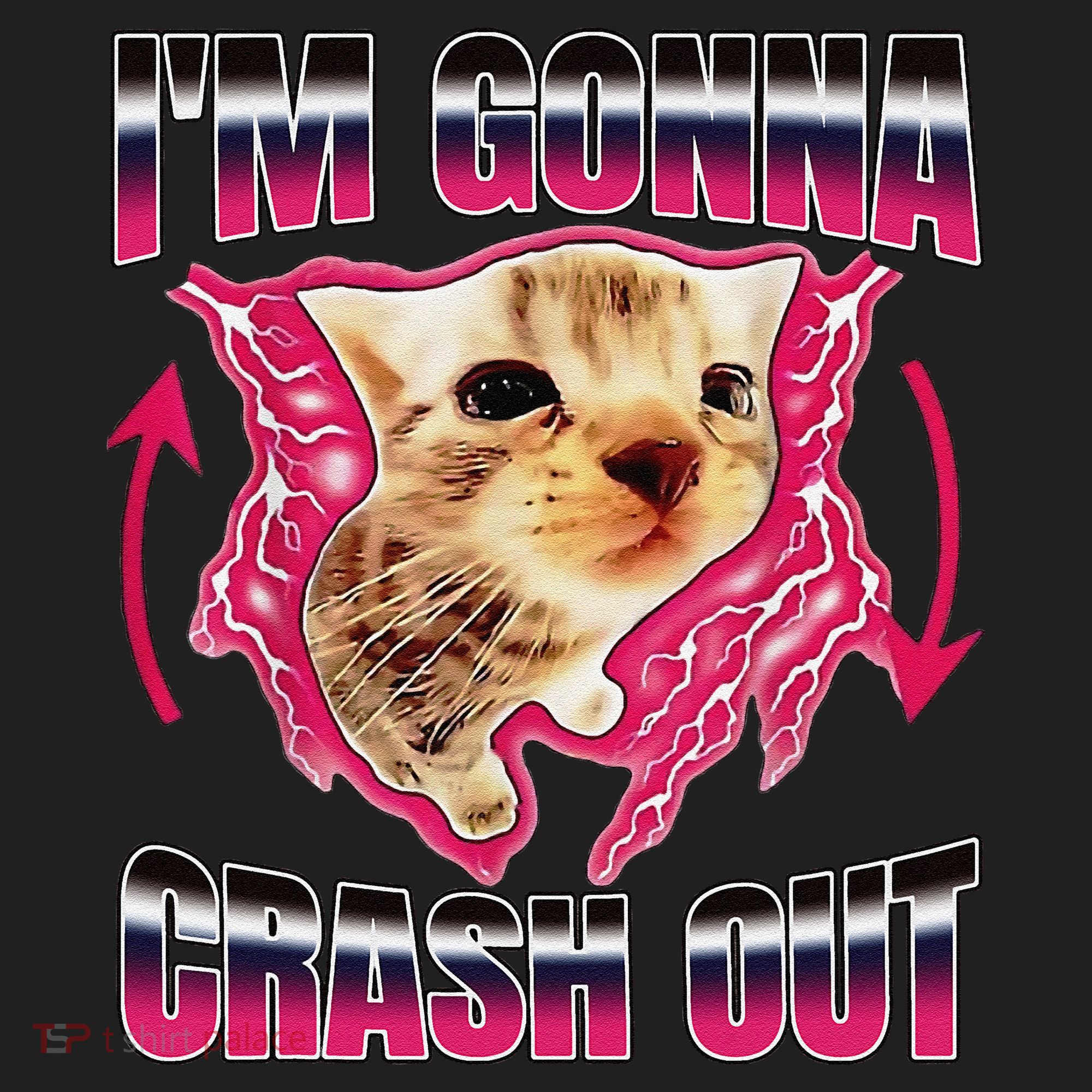 IM Gonna Crash Out Funny Cat Meme Lover Humorous Sarcastic Beanie
