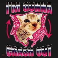 IM Gonna Crash Out Funny Cat Meme Lover Humorous Sarcastic Women's Tank Top thumb 5