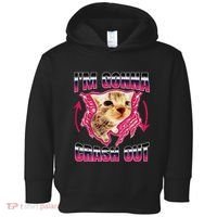 IM Gonna Crash Out Funny Cat Meme Lover Humorous Sarcastic Toddler Hoodie thumb 0