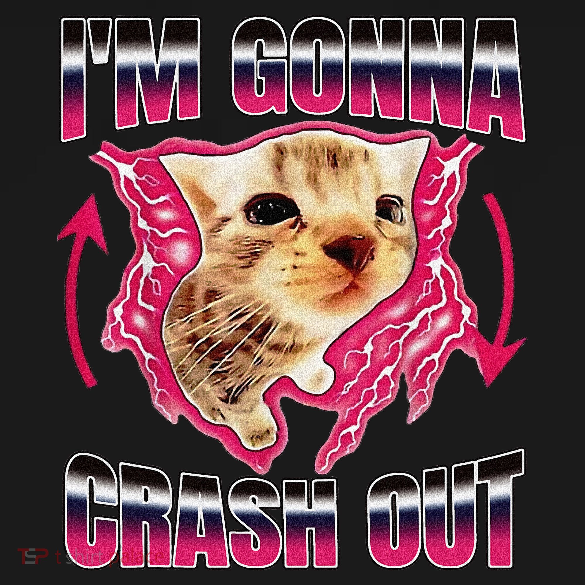 IM Gonna Crash Out Funny Cat Meme Lover Humorous Sarcastic Visor