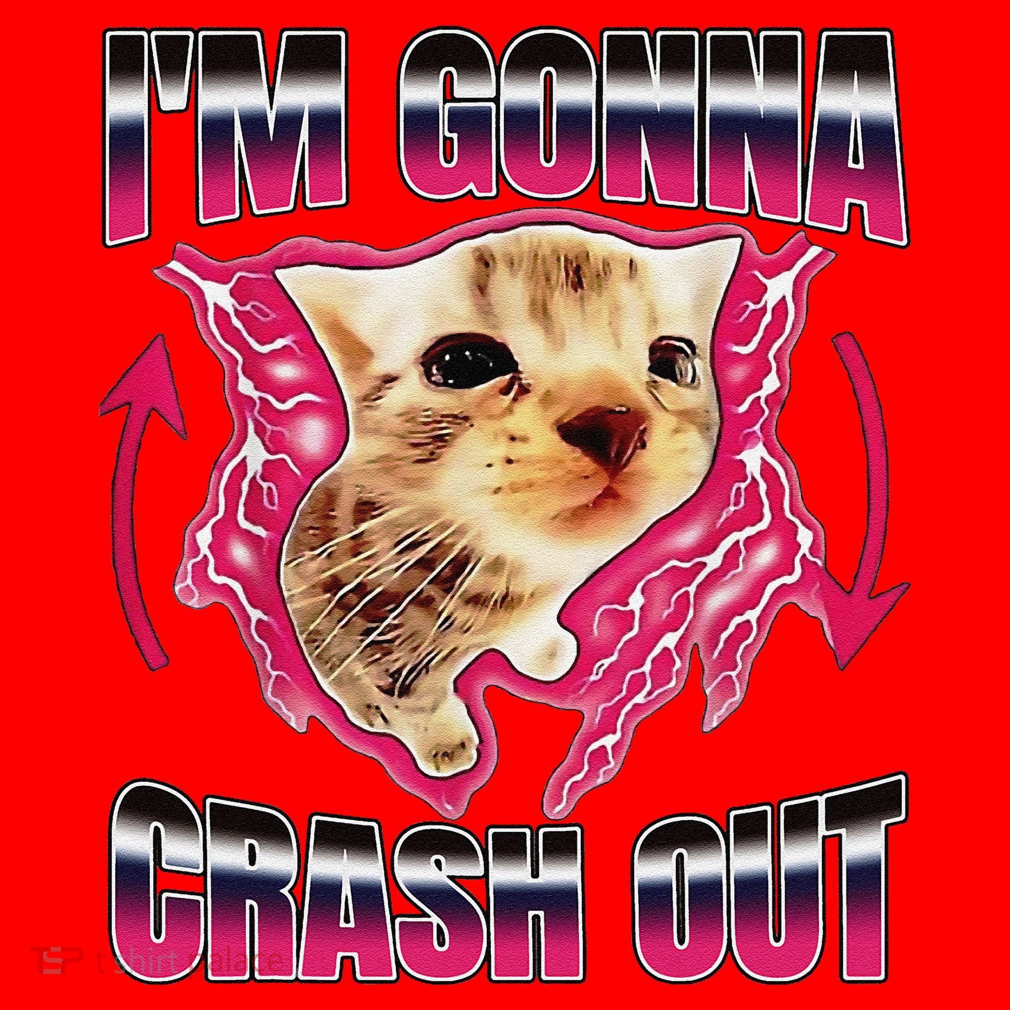 IM Gonna Crash Out Funny Cat Meme Lover Humorous Sarcastic Santa Hat