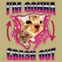 IM Gonna Crash Out Funny Cat Meme Lover Humorous Sarcastic Hoodie thumb 2