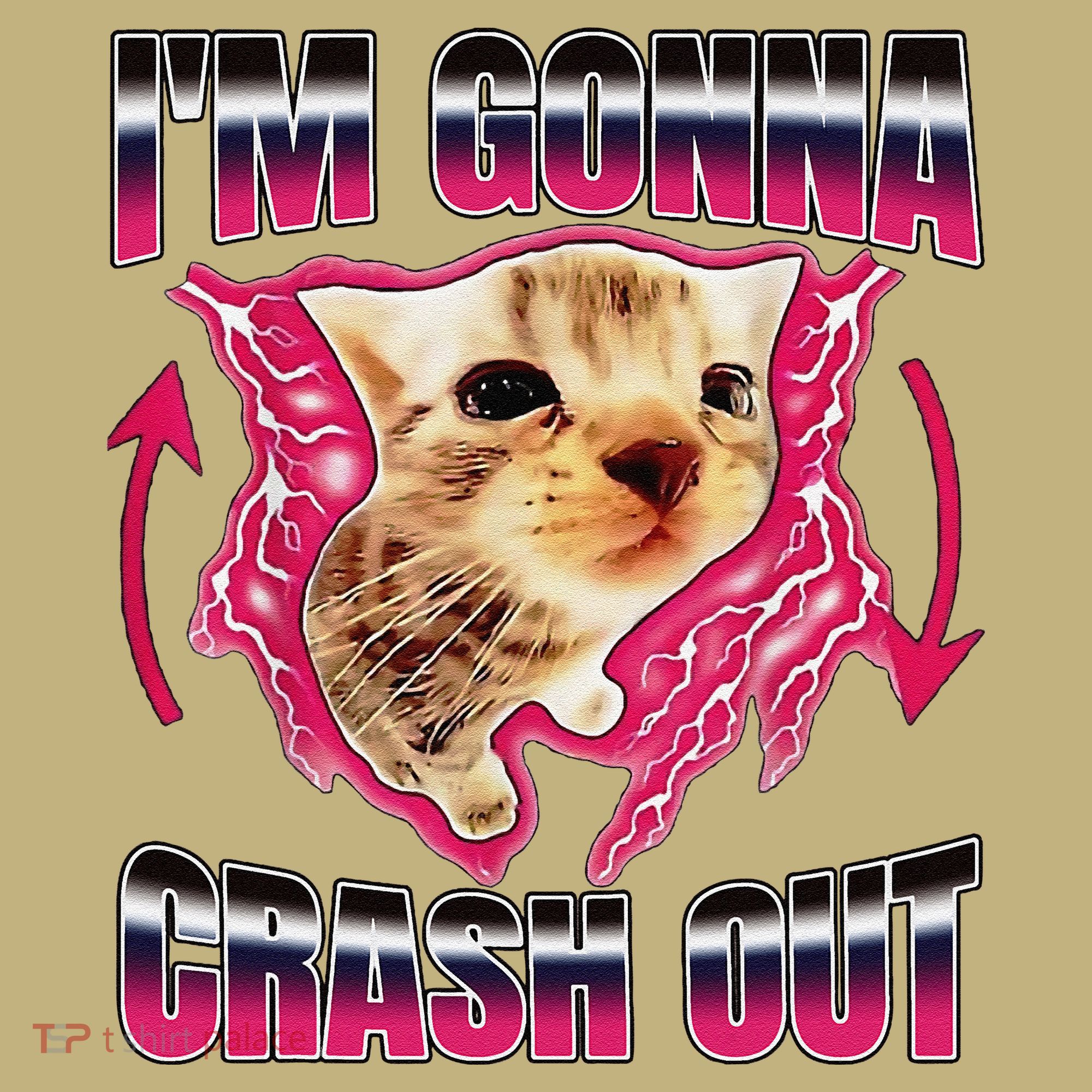 IM Gonna Crash Out Funny Cat Meme Lover Humorous Sarcastic Hoodie