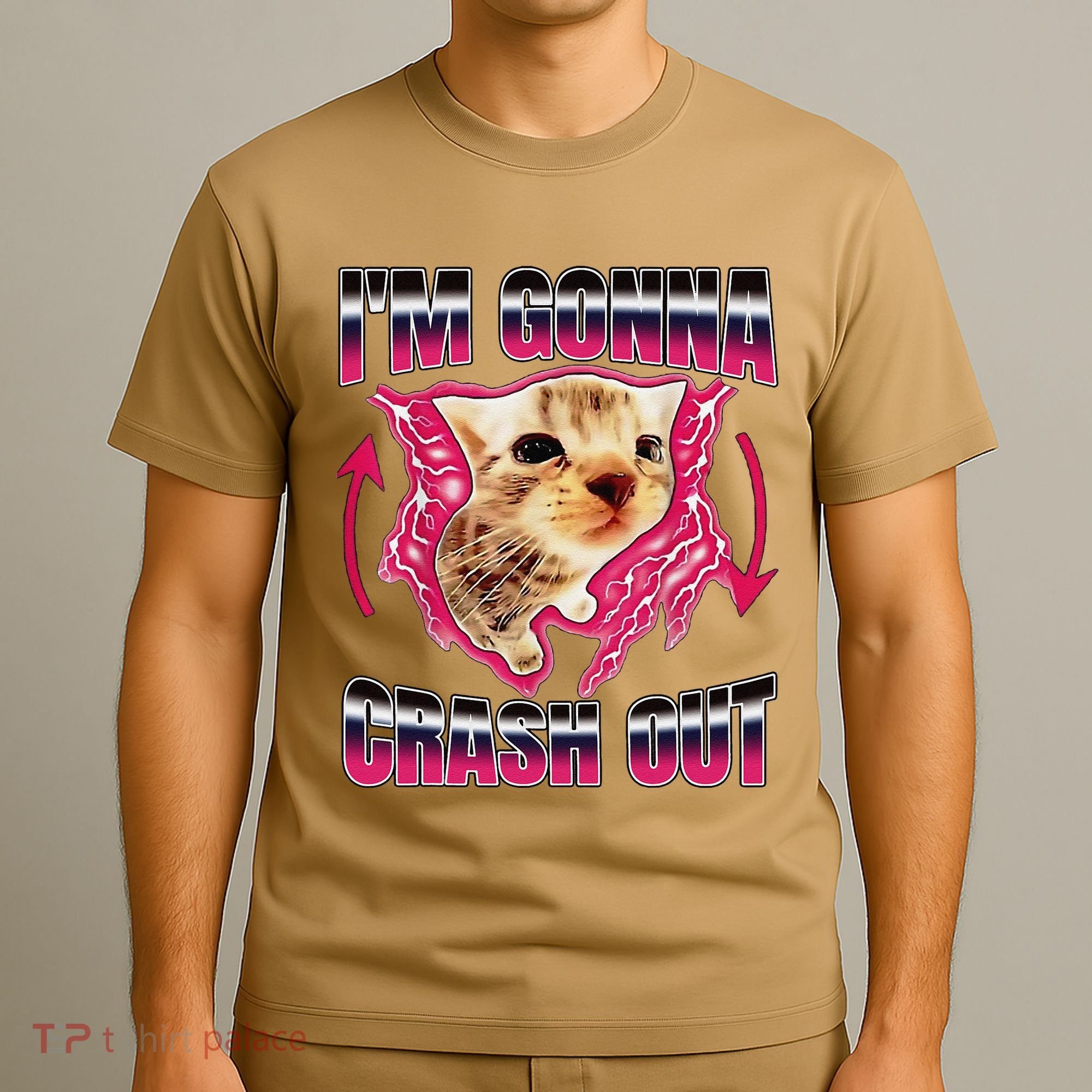 IM Gonna Crash Out Funny Cat Meme Lover Humorous Sarcastic T-Shirt