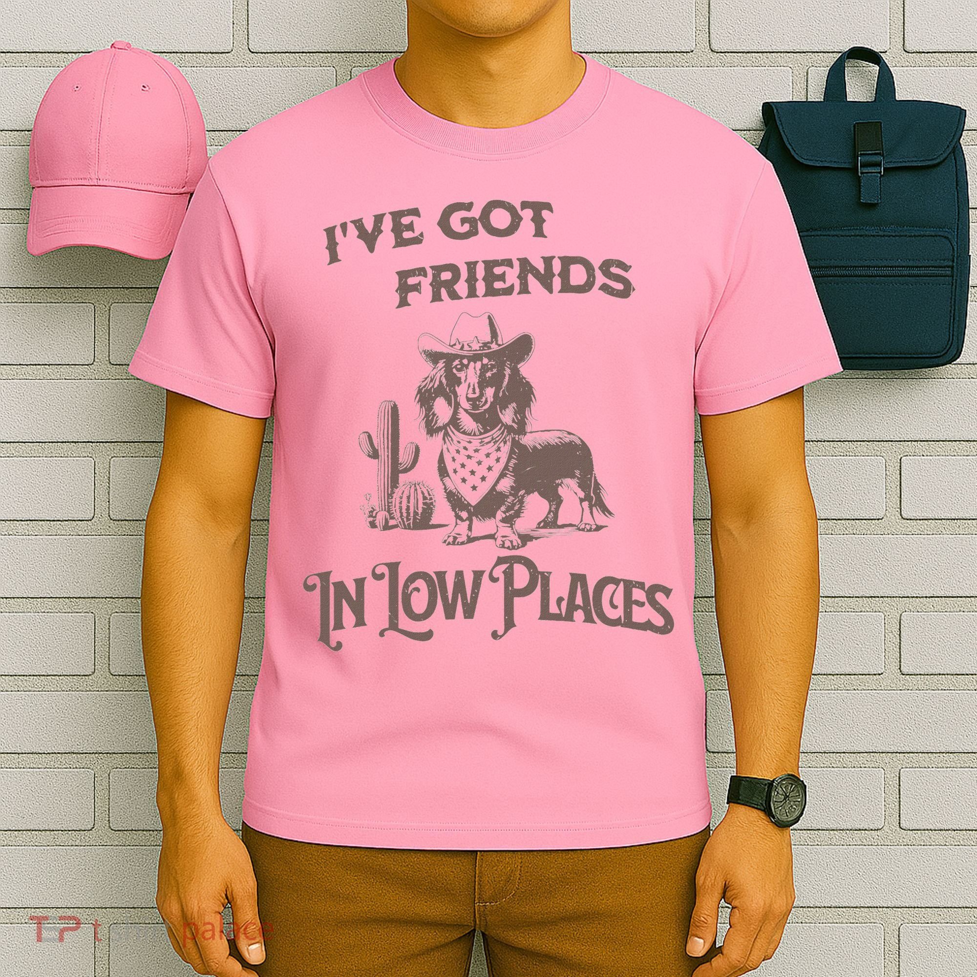 IVe Got Friends In Low Places Dachshund T-Shirt