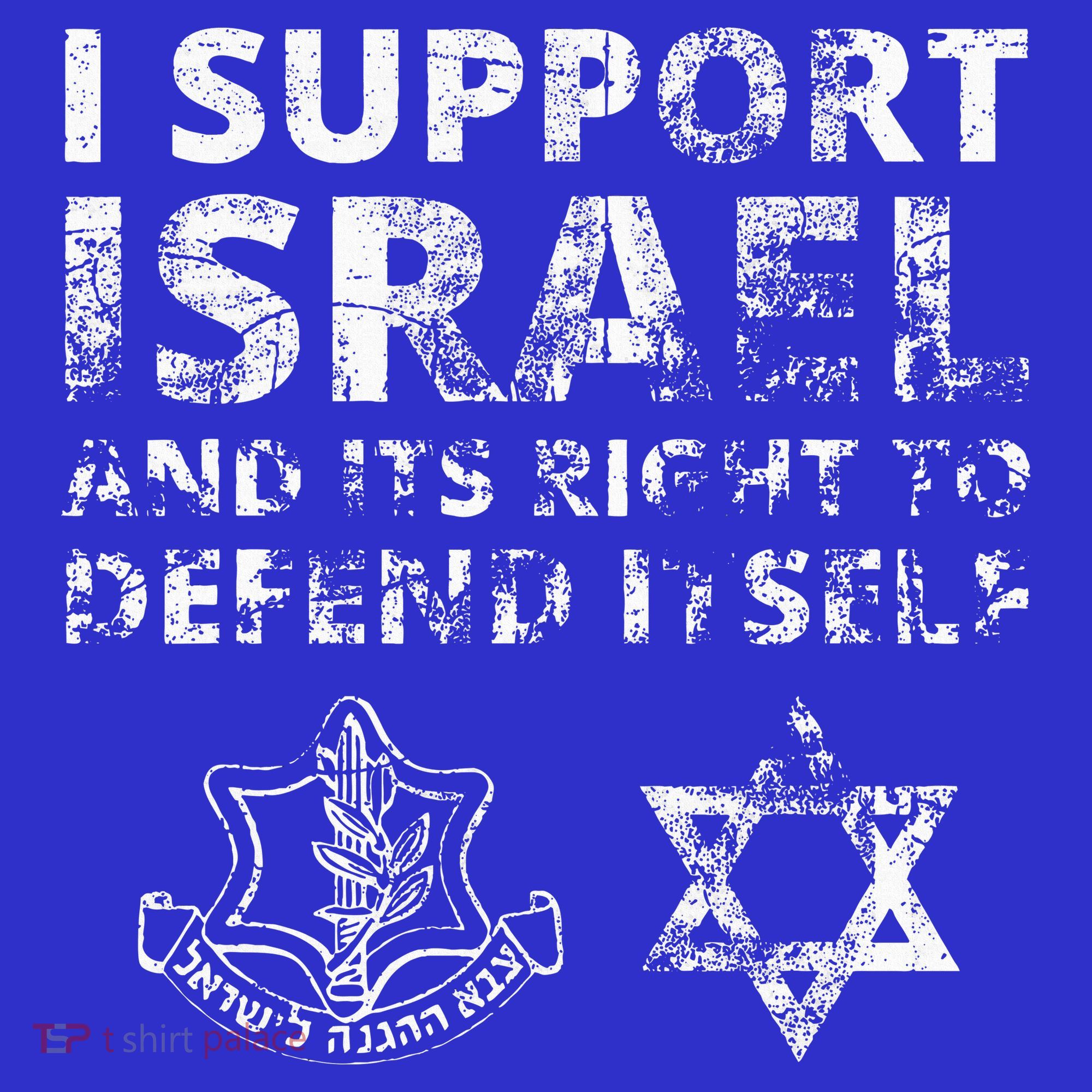 IDF Grunge I Support Israel and its Right to Defend Itself Women's Tank Top