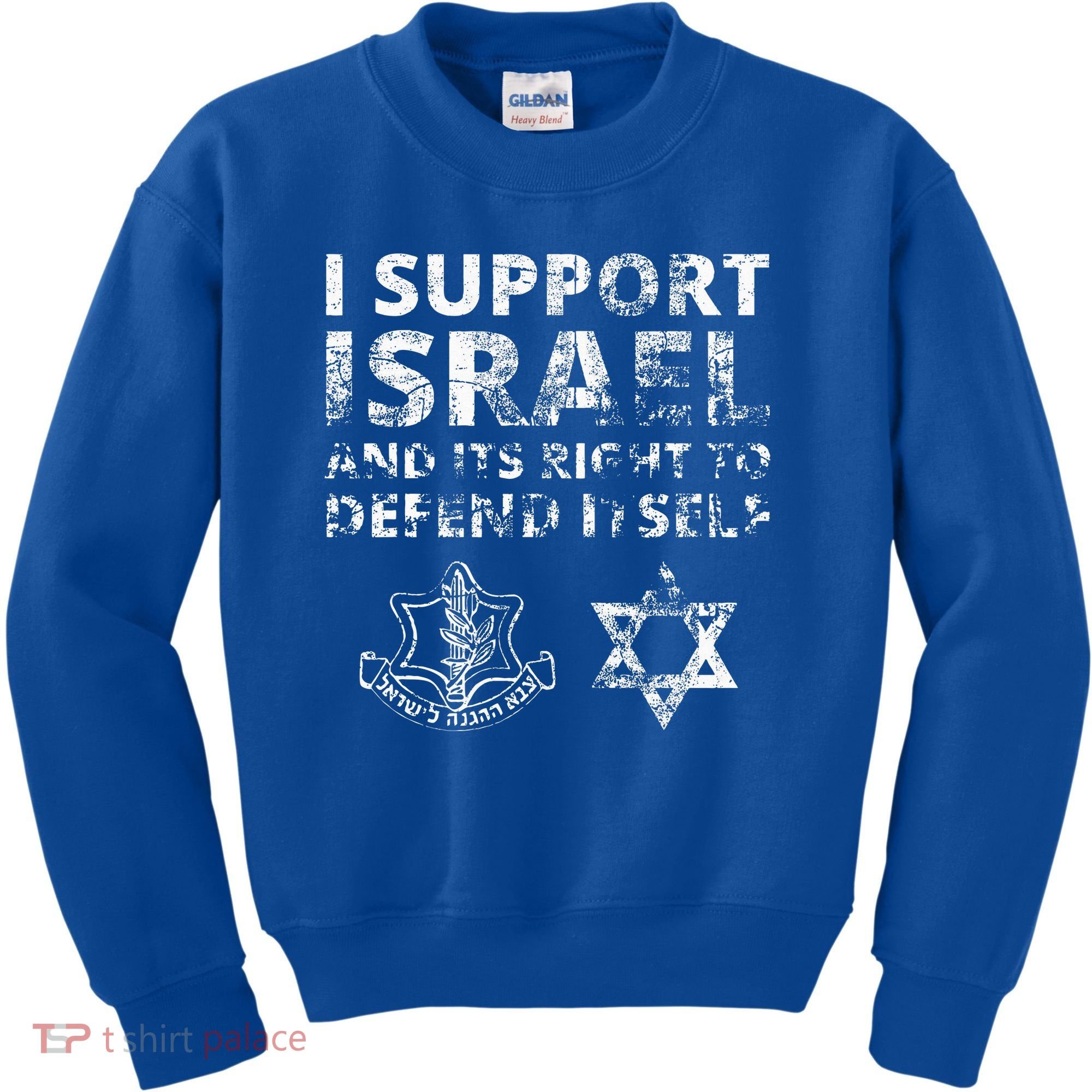 IDF Grunge I Support Israel and its Right to Defend Itself Kids Sweatshirt