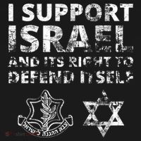 Idf Grunge I Support Israel And Its Right To Defend Itself Women's Hoodie thumb 2