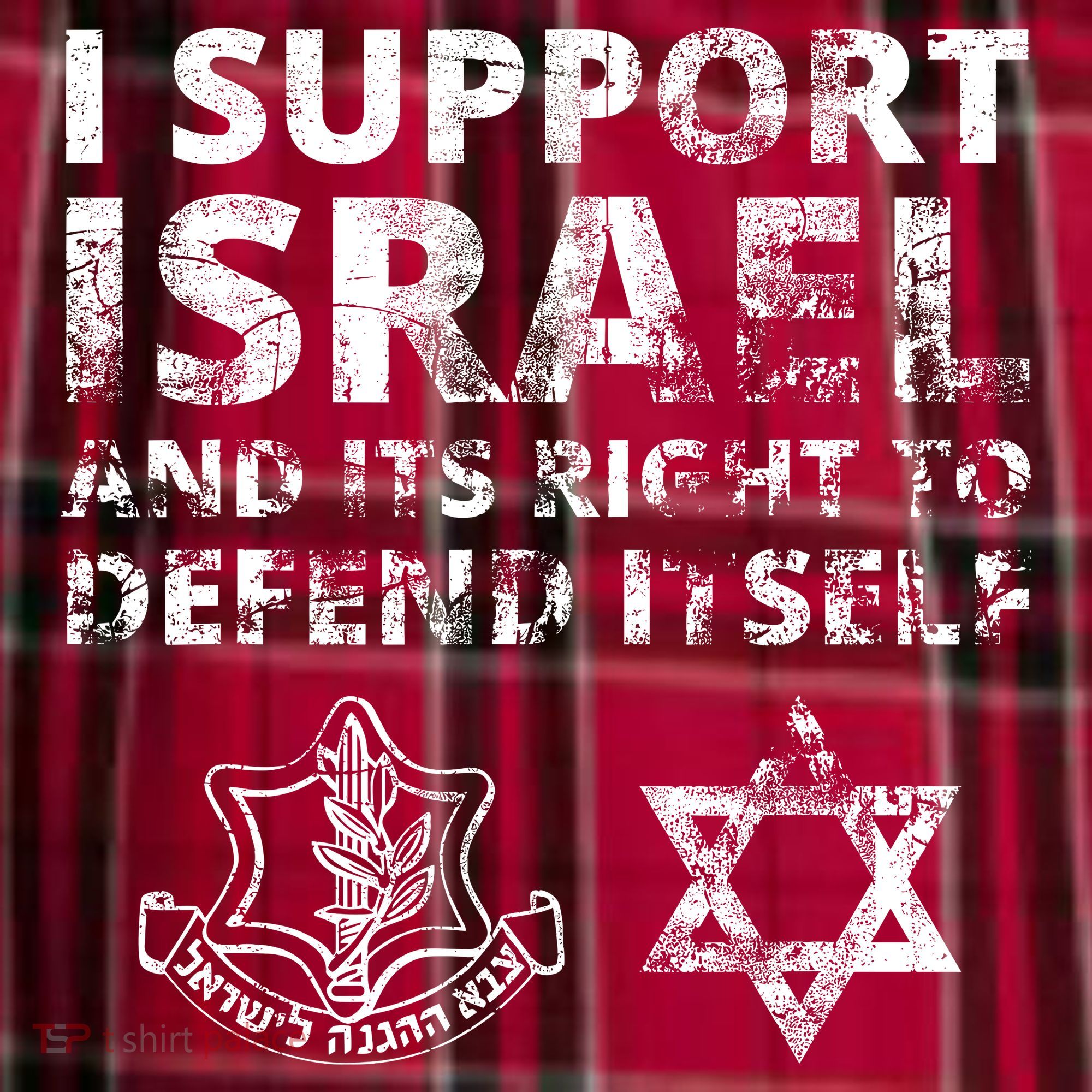 Idf Grunge I Support Israel And Its Right To Defend Itself Men's Flannel Plaid Pajama Pants