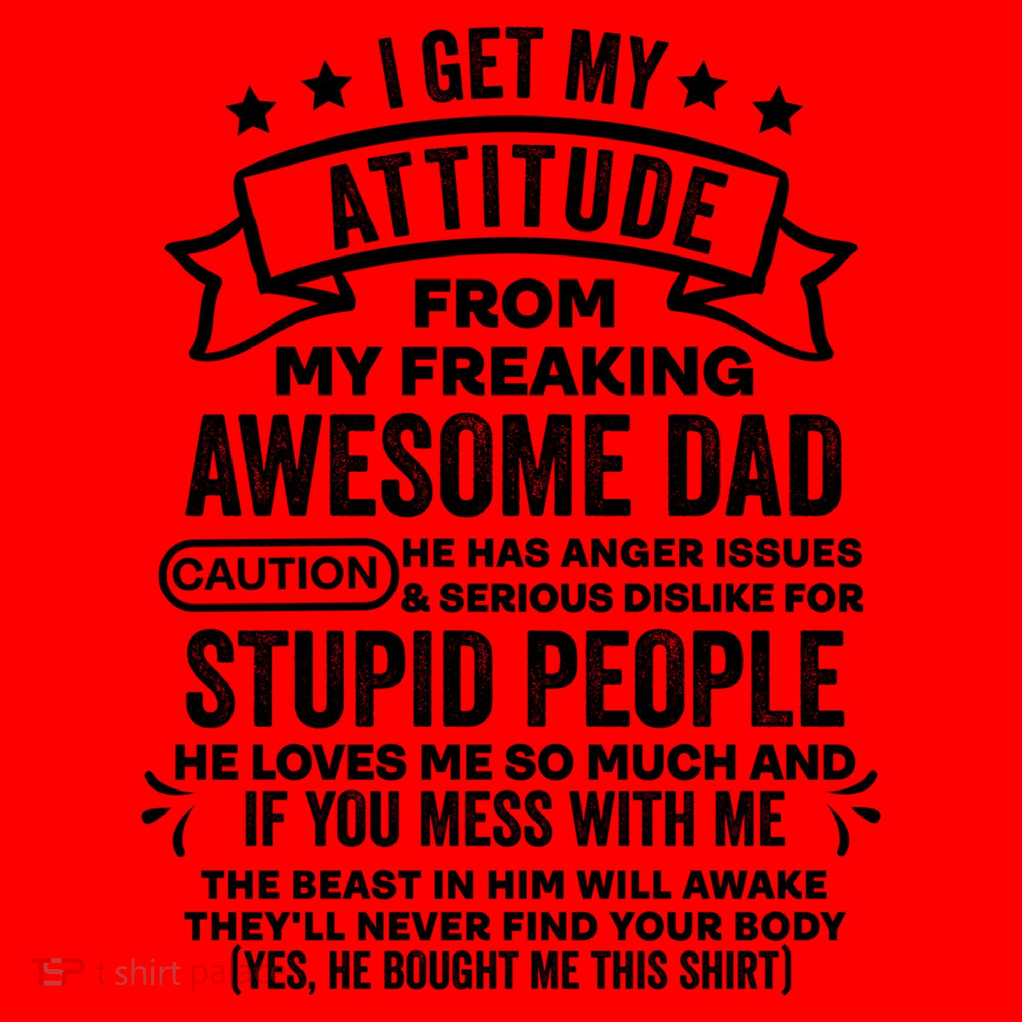 I Get My Attitude From My Dad Funny Gift Santa Hat