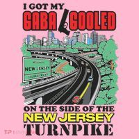 I Got My Gaba Gooled On The Side Of The New Jersey Turnpike Coaster thumb 2