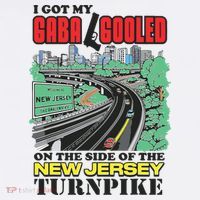 I Got My Gaba Gooled On The Side Of The New Jersey Turnpike Hoodie thumb 2