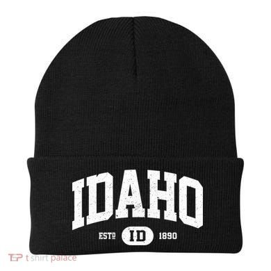 Idaho Gift Retro Vintage Idaho Gift Funny Gift Beanie