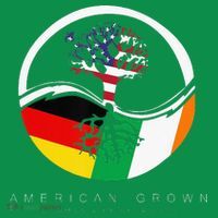 Irish German Roots American Grown With Flag Toddler Hoodie thumb 2
