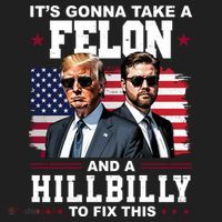 Its Gonna Take A Felon And A Hillbilly To Fix This Pro Trump Vance Beanie thumb 2