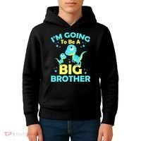 I'm Going To Be A Big Brother Cute Dinosaur Kids Hoodie thumb 4