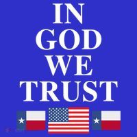 In God We Trust Texas Schools American Flag Texas Usa Gift T-Shirt thumb 7