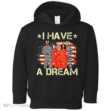 I Have A Dream Funny Biden Toddler Hoodie