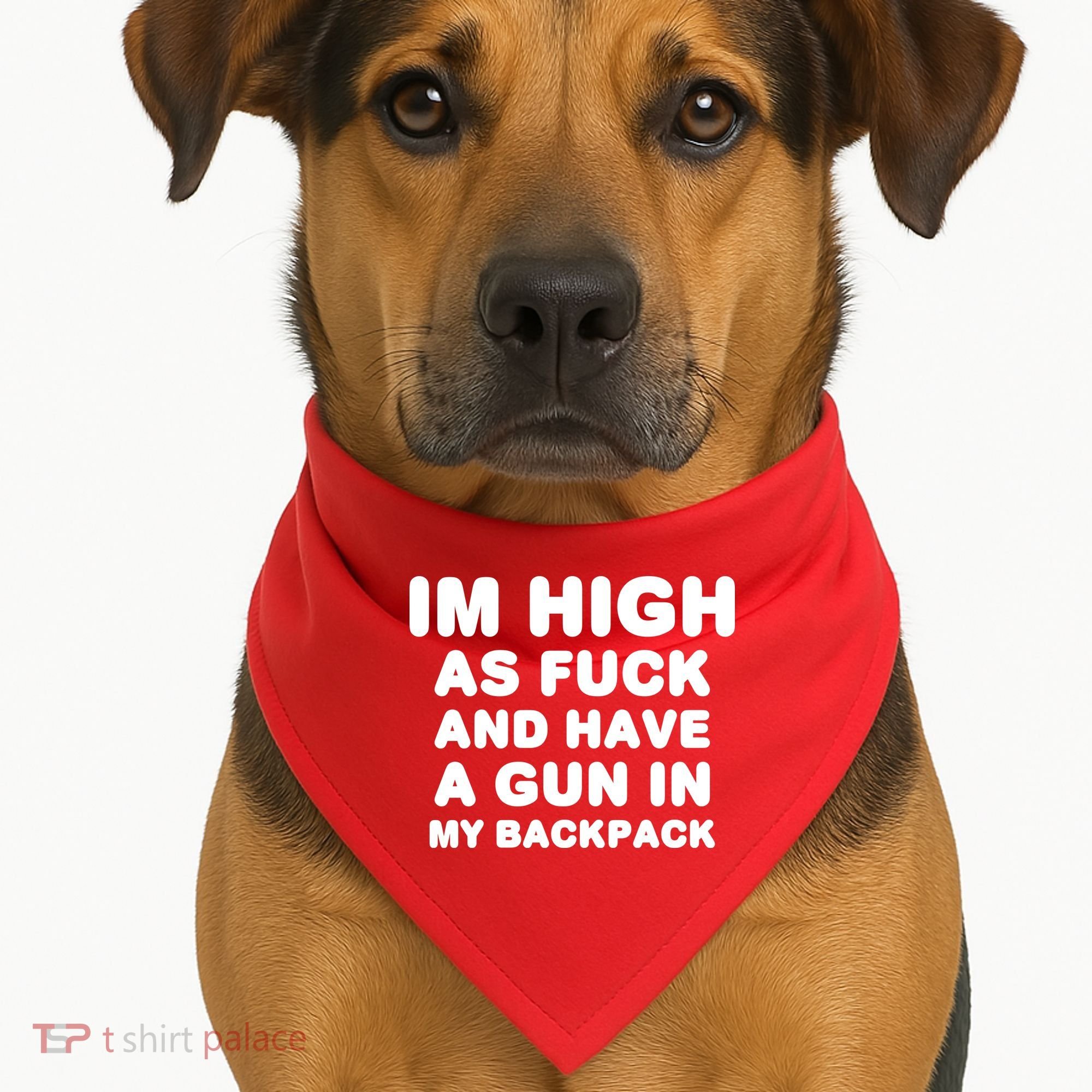 Im High As Fuck And Have A Gun In My Backpack USA-Made Doggie Bandana