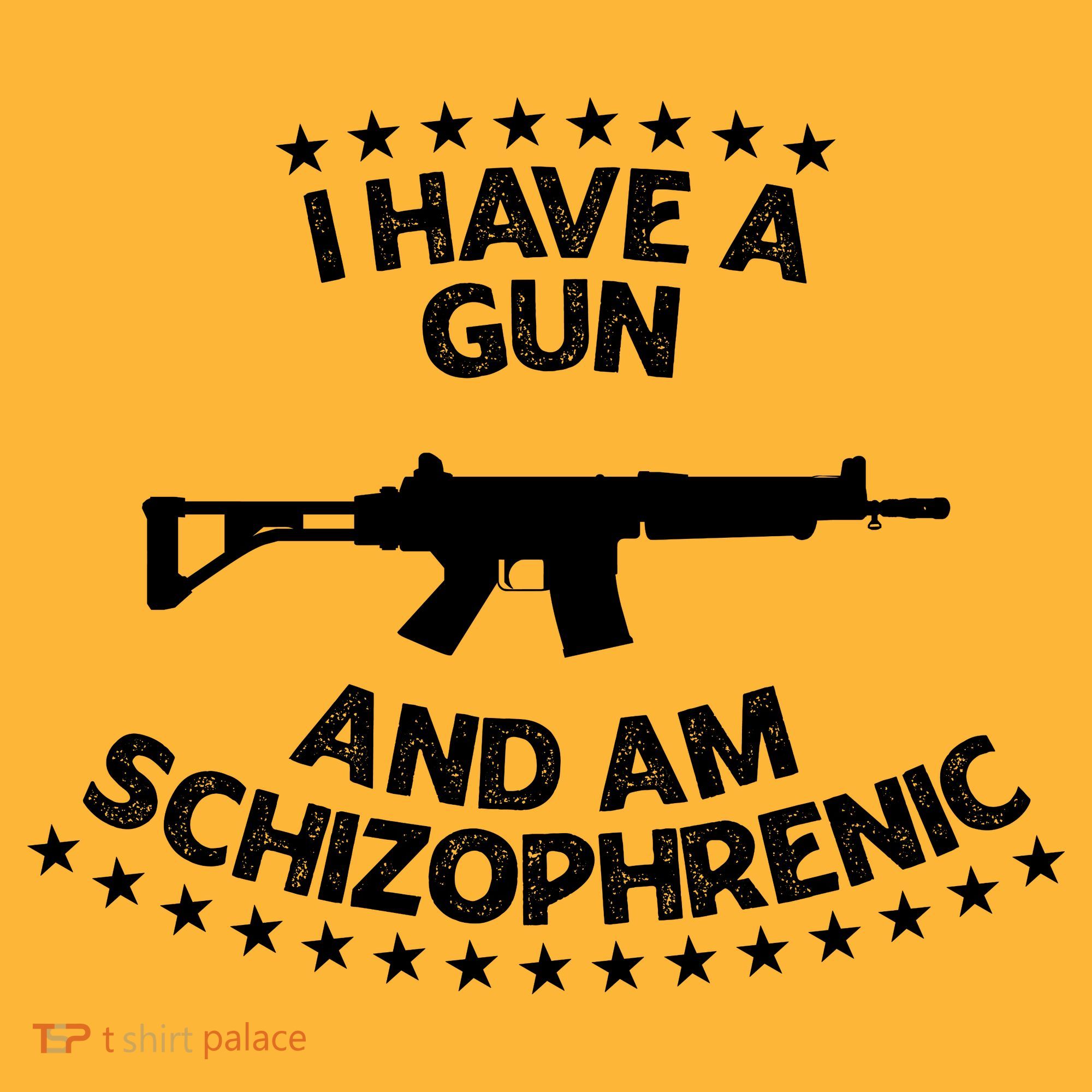 I Have A Gun And Am Schizophrenic Shirt Gun Lovers T-Shirt
