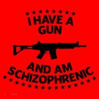 I Have A Gun And Am Schizophrenic Shirt Gun Lovers Santa Hat thumb 1