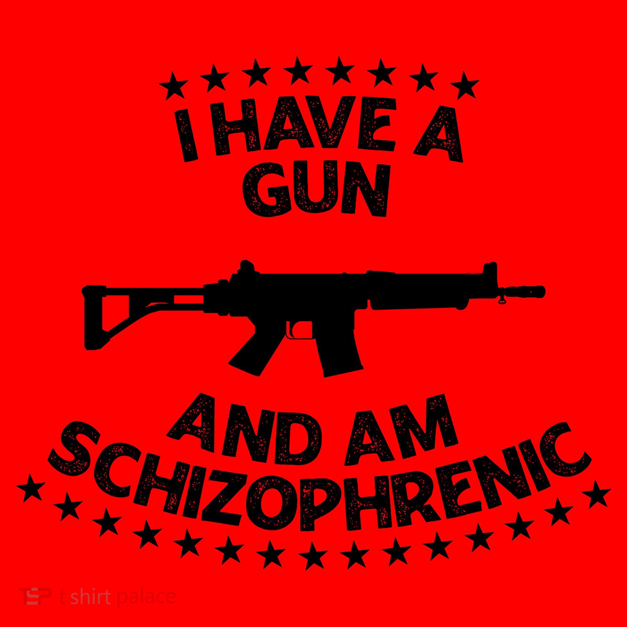 I Have A Gun And Am Schizophrenic Shirt Gun Lovers Santa Hat