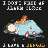 I Have A Bengal Funny Cat Wake Me Up Gift Women's Hoodie thumb 2