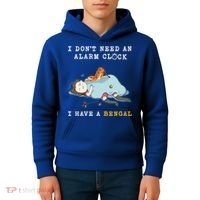I Have A Bengal Funny Cat Wake Me Up Gift Kids Hoodie thumb 4