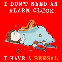 I Have A Bengal Funny Cat Wake Me Up Gift Santa Hat thumb 1