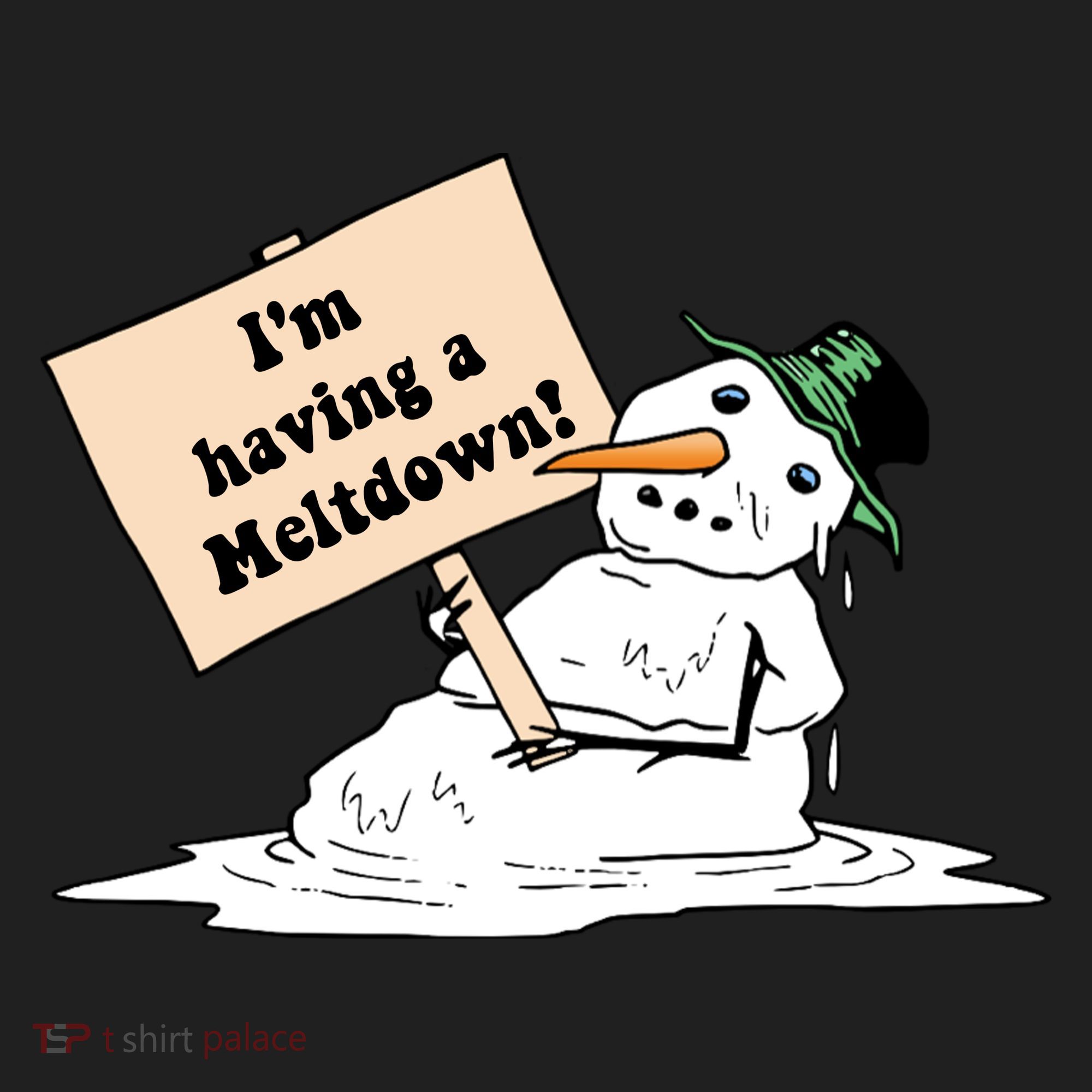 I'm Having A Meltdown Hat