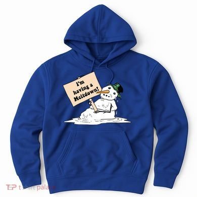 I'm Having A Meltdown Hoodie