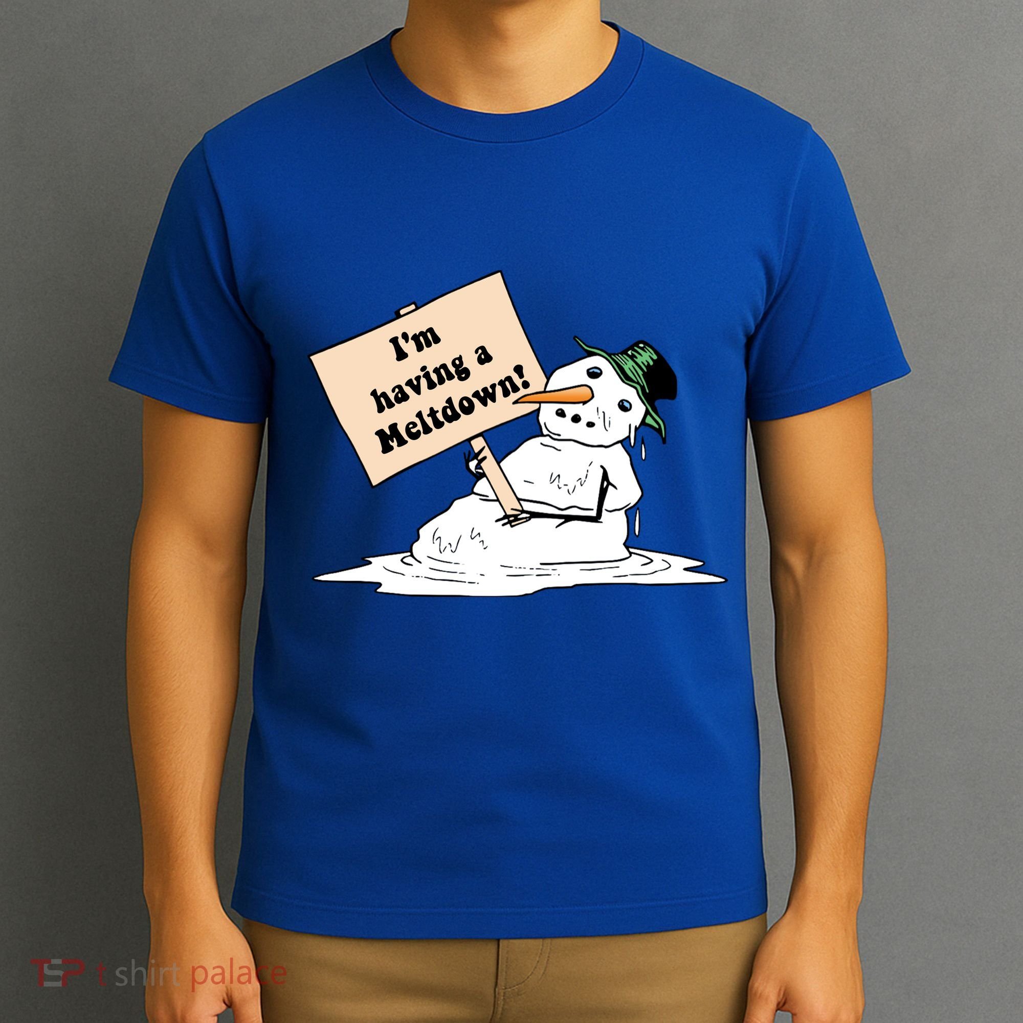 I'm Having A Meltdown T-Shirt