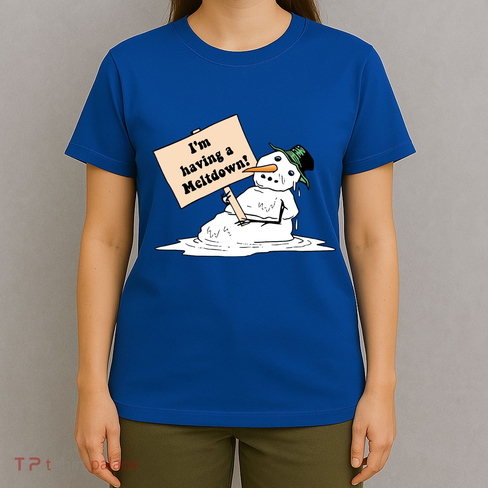 I'm Having A Meltdown T-Shirt