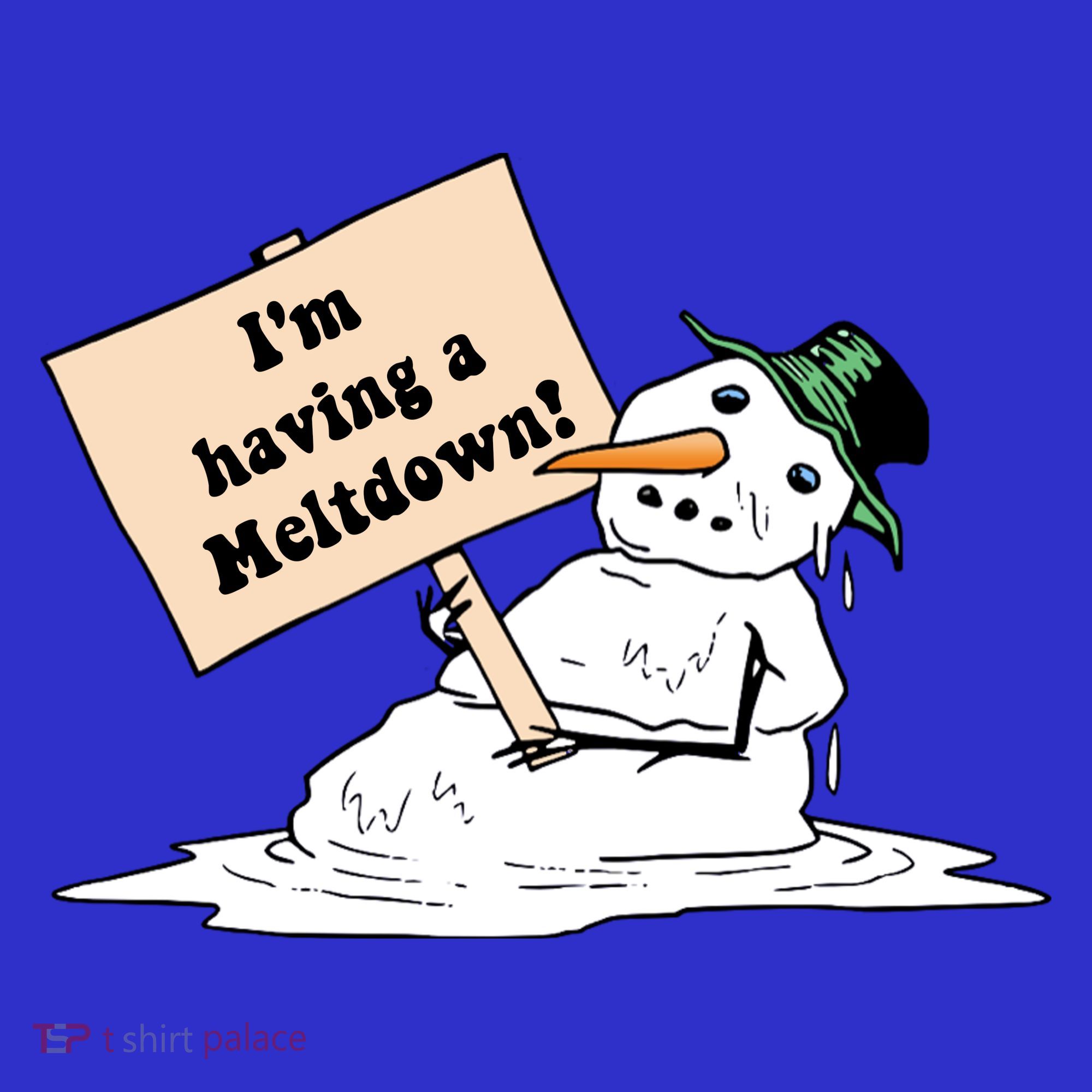 I'm Having A Meltdown Toddler Hoodie
